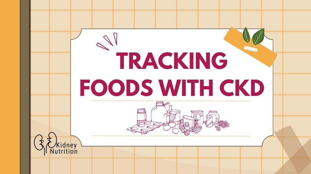 Renal Diet Tracker Tracking Foods With CKD Kidney Nutrition