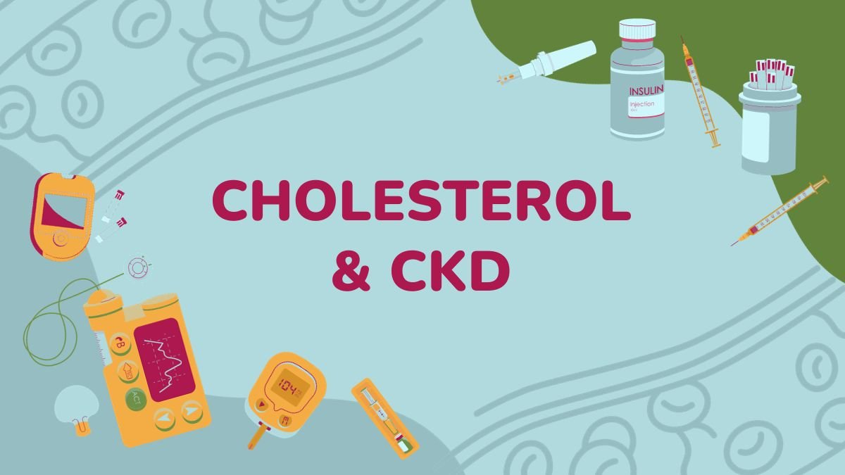 Cholesterol and Kidney Disease Kidney Nutrition